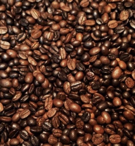 Mocha Java Coffee Beans Medium & Dark Roasted Daily 1 Pound Bags 5 Pounds