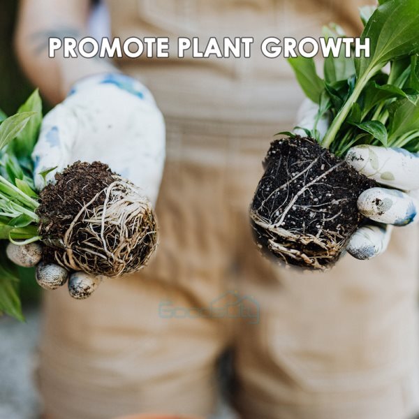 Lot High Pressure Propagation Plant Rooting Device Ball Box Growing Graft Garden