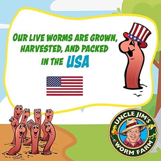 Red Wiggler Mix Composting Worms