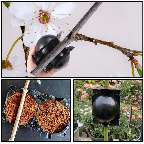 Lot High Pressure Propagation Plant Rooting Device Ball Box Growing Graft Garden