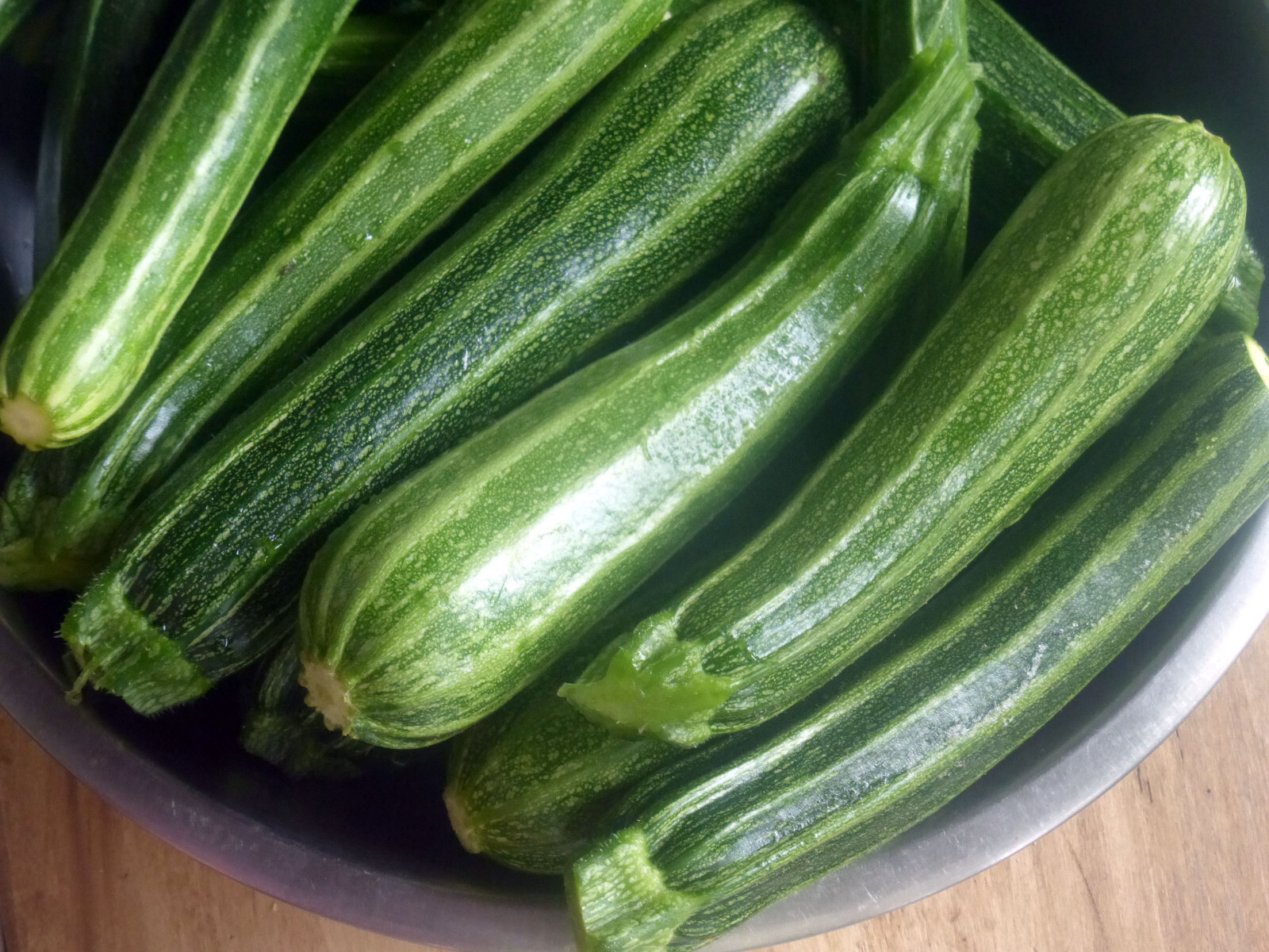 20+ COCOZELLE SUMMER SQUASH FRESH FOR GARDENS
