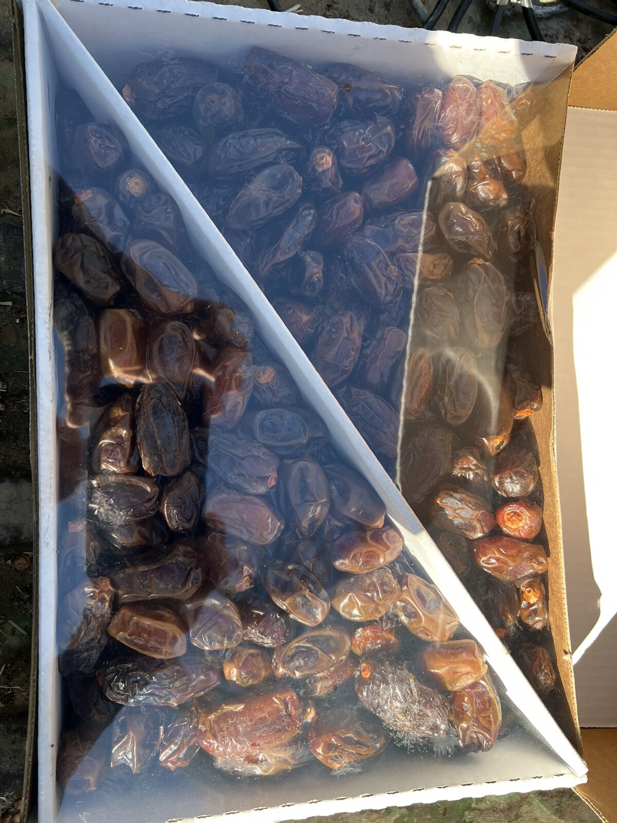 2x11LB BOXESbMEDJOOL M/S SIZE. FRESH CALIFORNIA. FREE FAST SHIPPING.