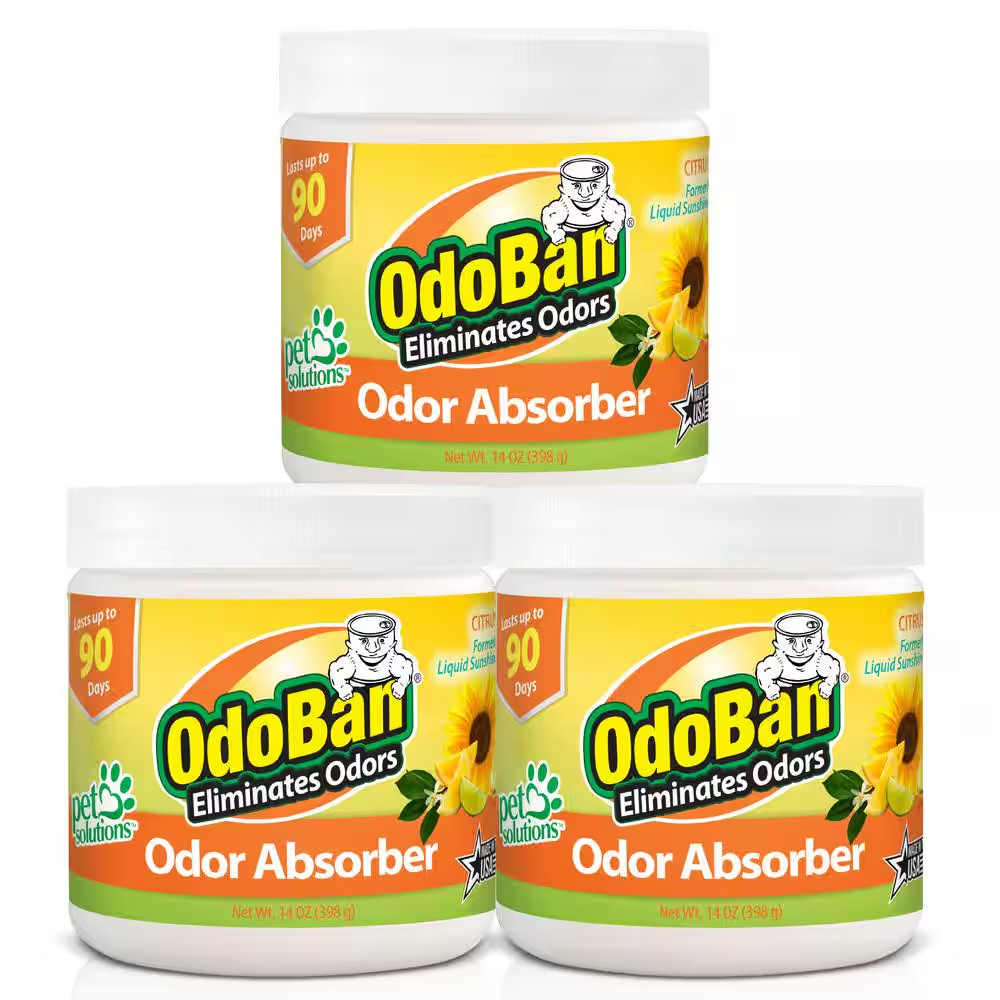 14 Oz. Citrus Solid Odor Absorber, Odor Eliminator for Smoke Odor and Musty Smel