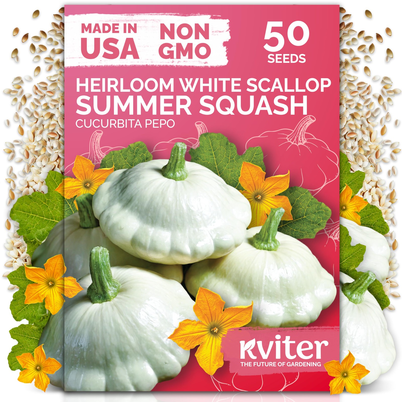 KVITER 50 White Patty Pan Squash Seeds (Cucurbita pepo)