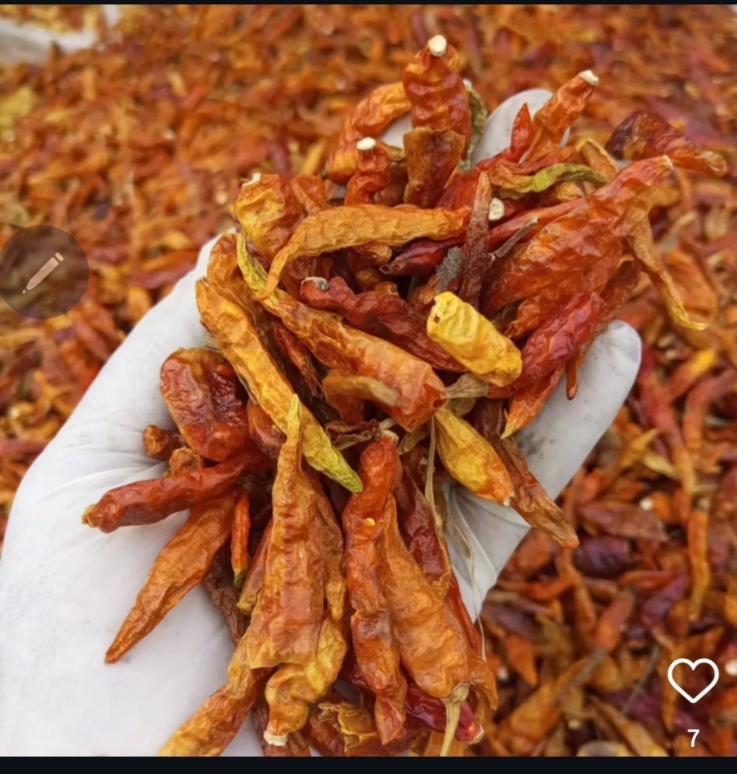 NIGERIA WHOLE DRY PEPPER 1 paint bucket