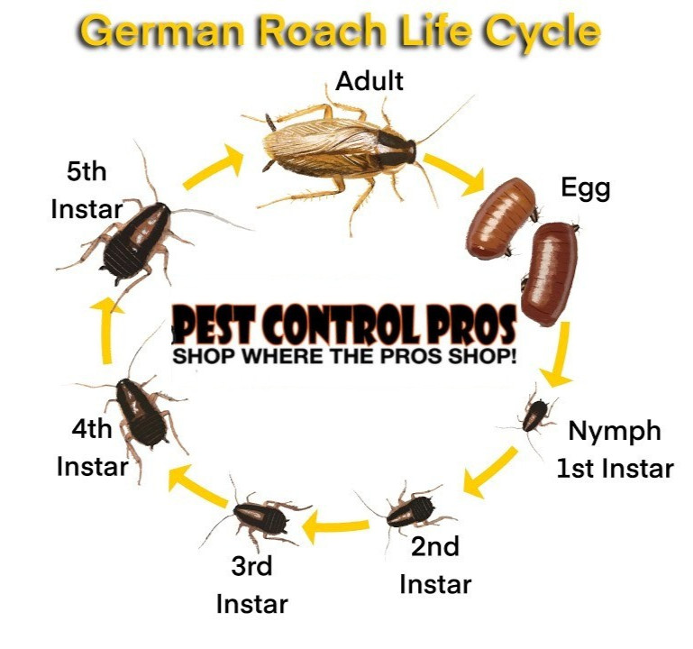 4 Tubes Alpine Cockroach German Roach Control Gel Bait Rotation 2 ~120 grams