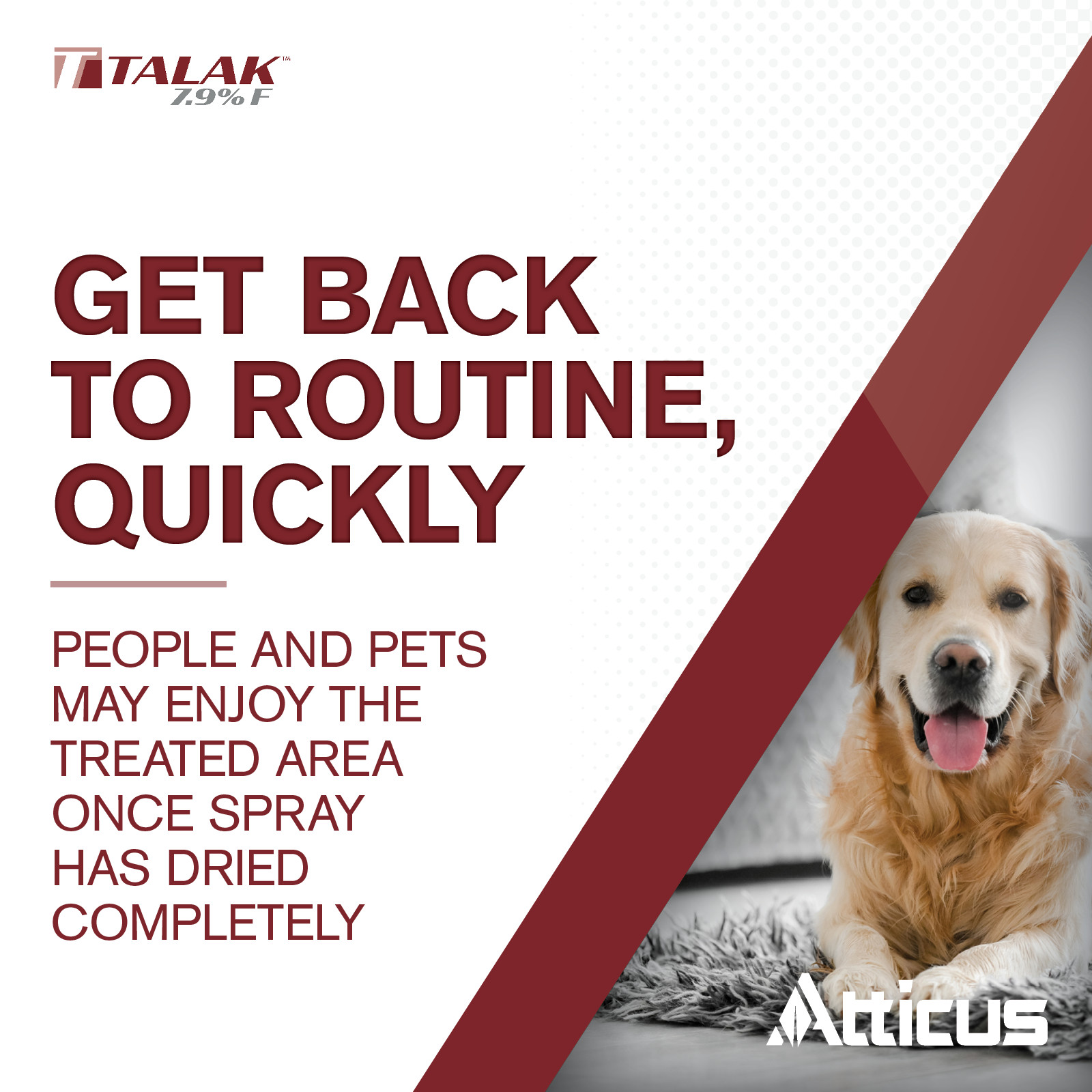 Talak 7.9 F Bifenthrin Insecticide Concentrate (3/4 Gallon) by Atticus