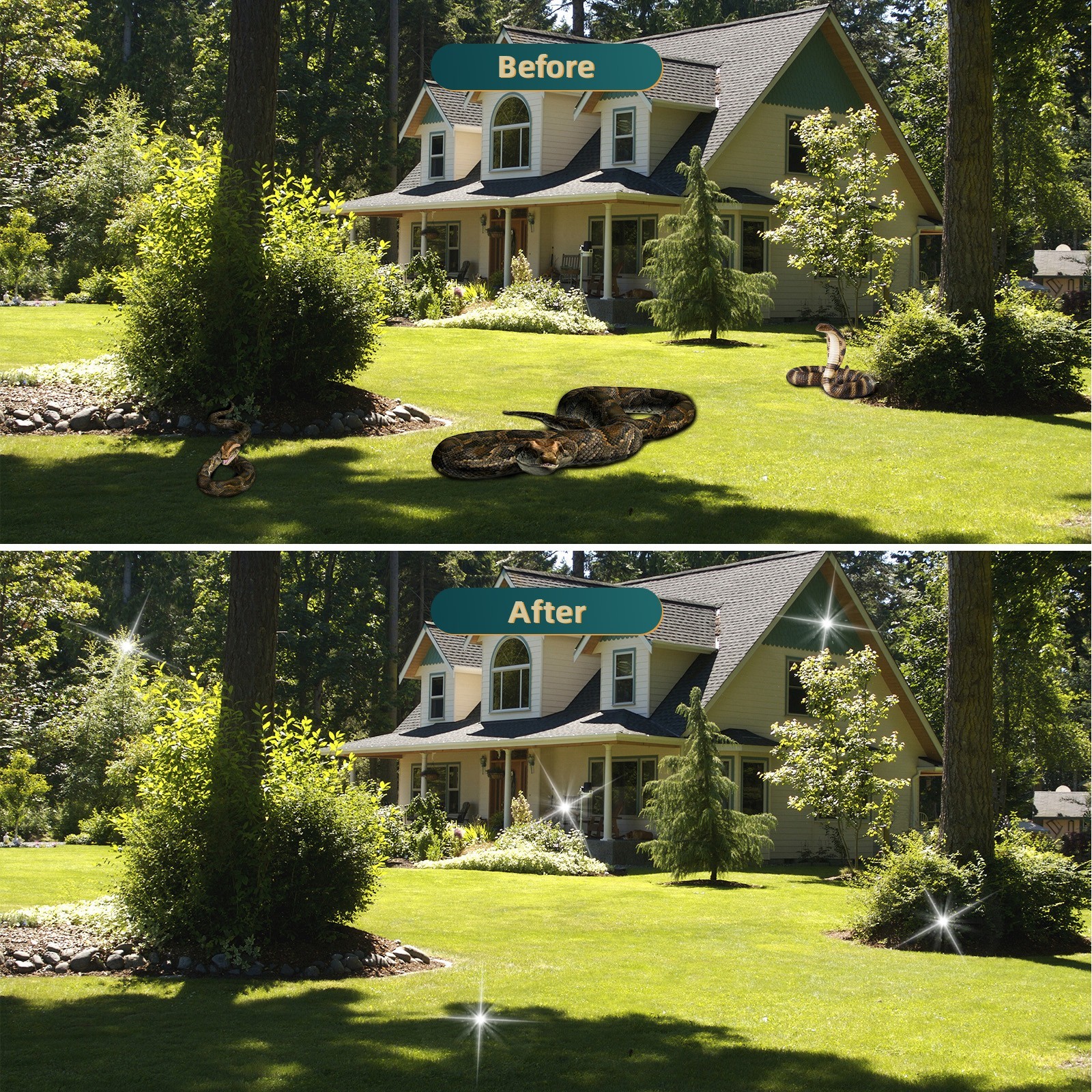 10 Pack Snake Repellent for Yard Powerful, Snake Away Repellent for Outdoors