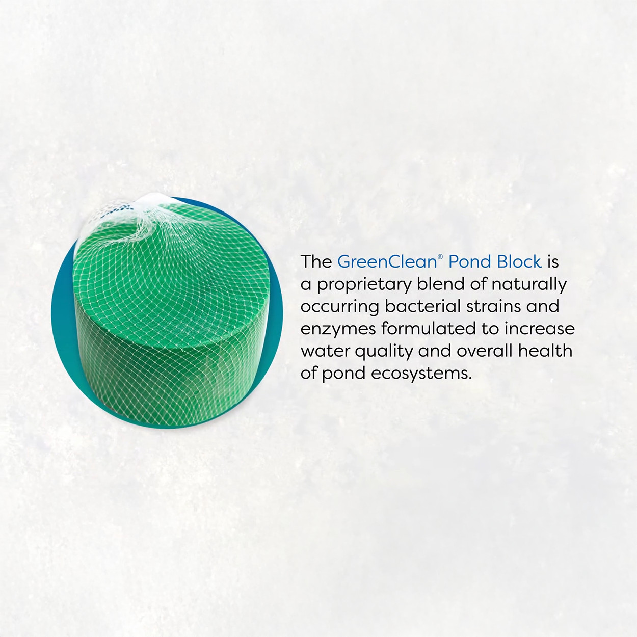 GreenClean Pond Block Water Treatment for Ponds 4x5lb Blocks by BioSafe