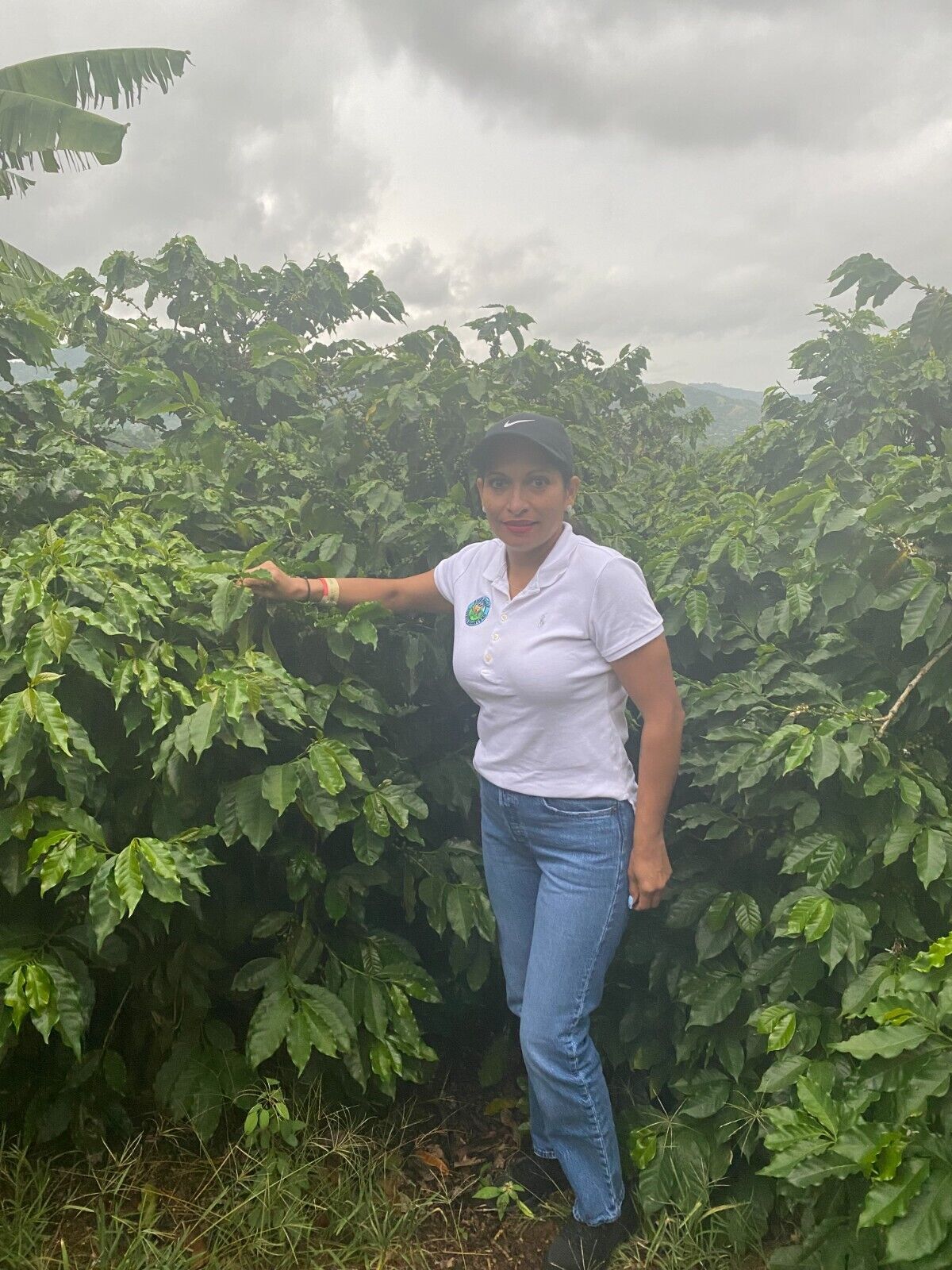Ethiopian Yirgacheffe Coffee Beans | Fresh Medium Roast | 3 LB Whole Bean