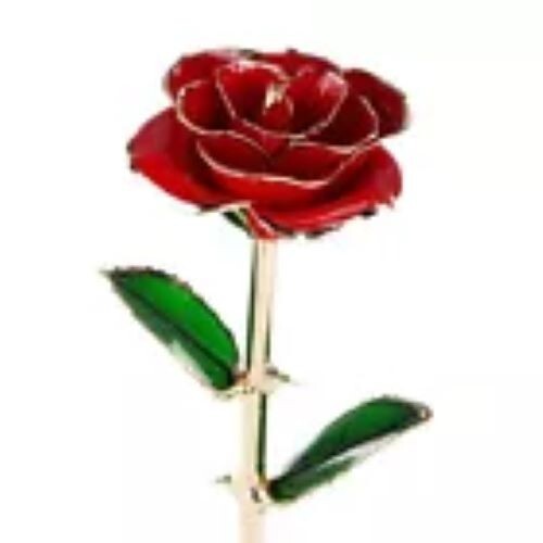 24K Gold-Dipped Real Eternal Rose – 10 Colors for Easter