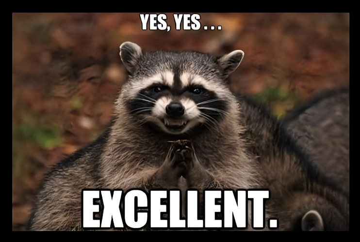 YES, YES… EXCELLENT motivated raccoon bandit outside animal weird freak MAGNET