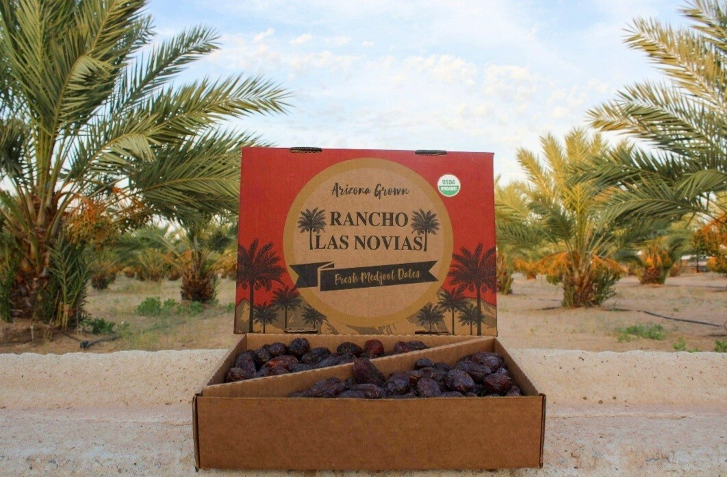 11 LB JUMBO’S PREMIUM ORGANIC MEDJOOL DATES FRESH ARIZONA’S GROWN.