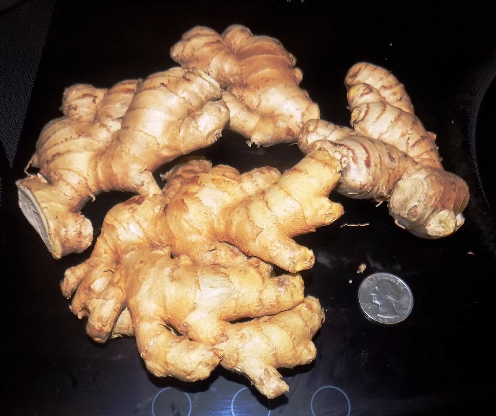 Fresh Organic Ginger Root FREE SHIPPING 1lb to 30lb USA Shipper BEST PRICE on Eb