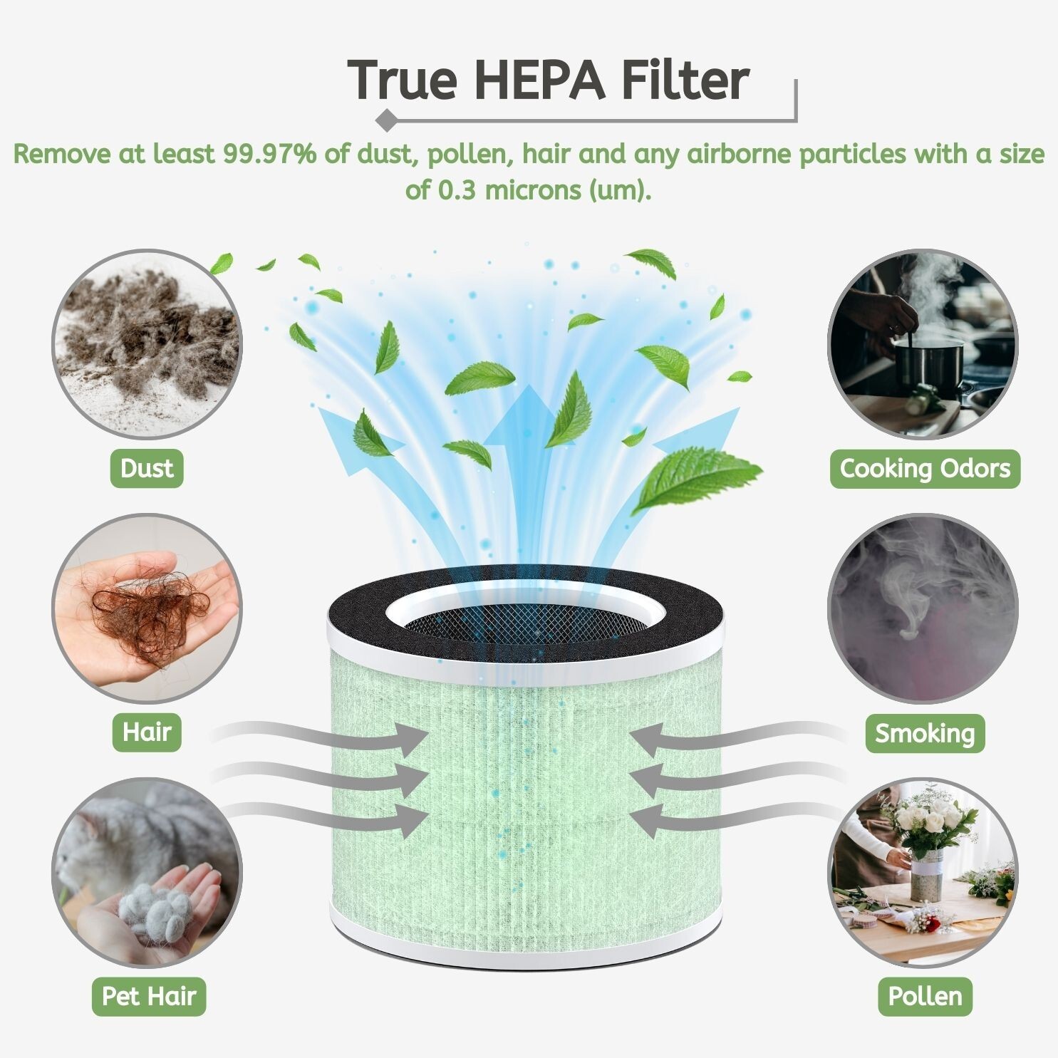 True HEPA with Carbon Replacement Filter For Renpho Air Purifier RP-AP088 2 pack