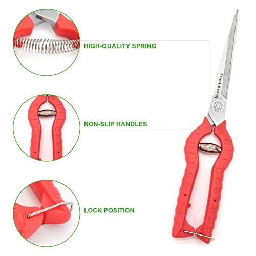 Extra Long Garden Scissor, Stainless Steel Pruning Shears, Bonsai Plant