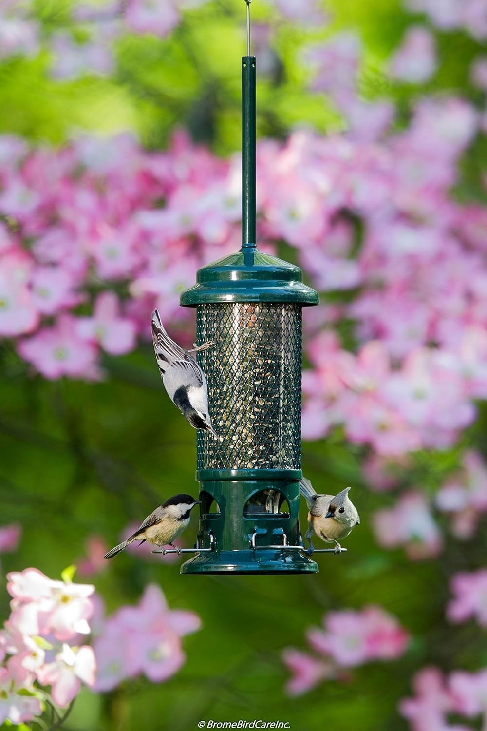 NEW! Brome Squirrel Buster Standard Bird Feeder 9073 Squirrel Proof Free Ships