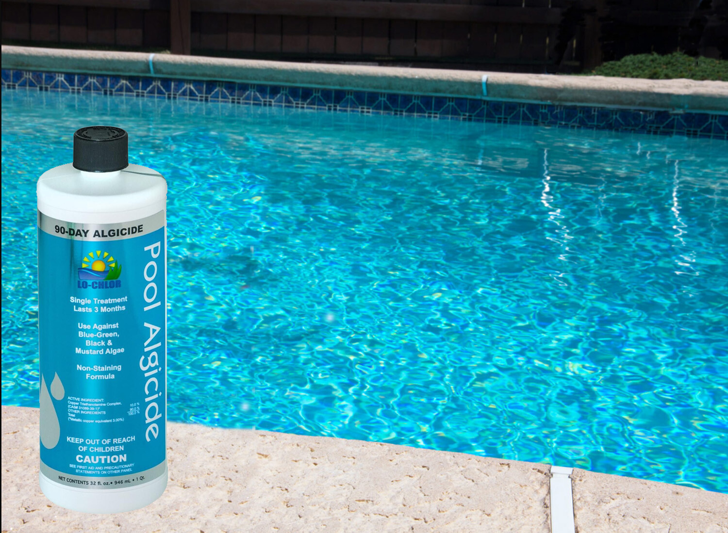 Lo-Chlor 90-Day Algaecide Swimming Pools Last 3 Months – 32 oz (Choose Size)