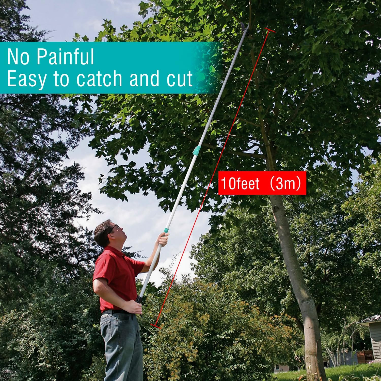 Tree Pruner Extendable, Tree Trimmers Long Handle Pruner, Extra Length to 10Ft,