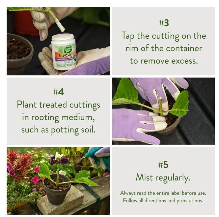 Garden Safe Take Root Rooting Hormone, 2-Ounce