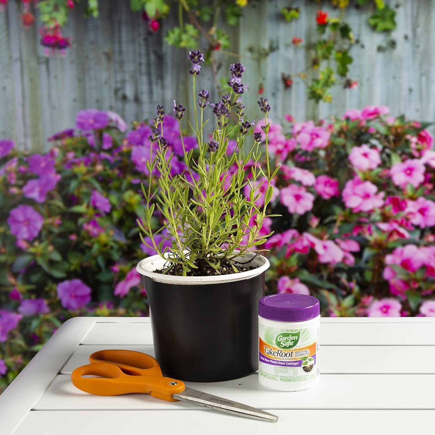 2 Pack Garden Safe Takeroot Rooting Hormone, New Plants Growth Powder – 2 Oz