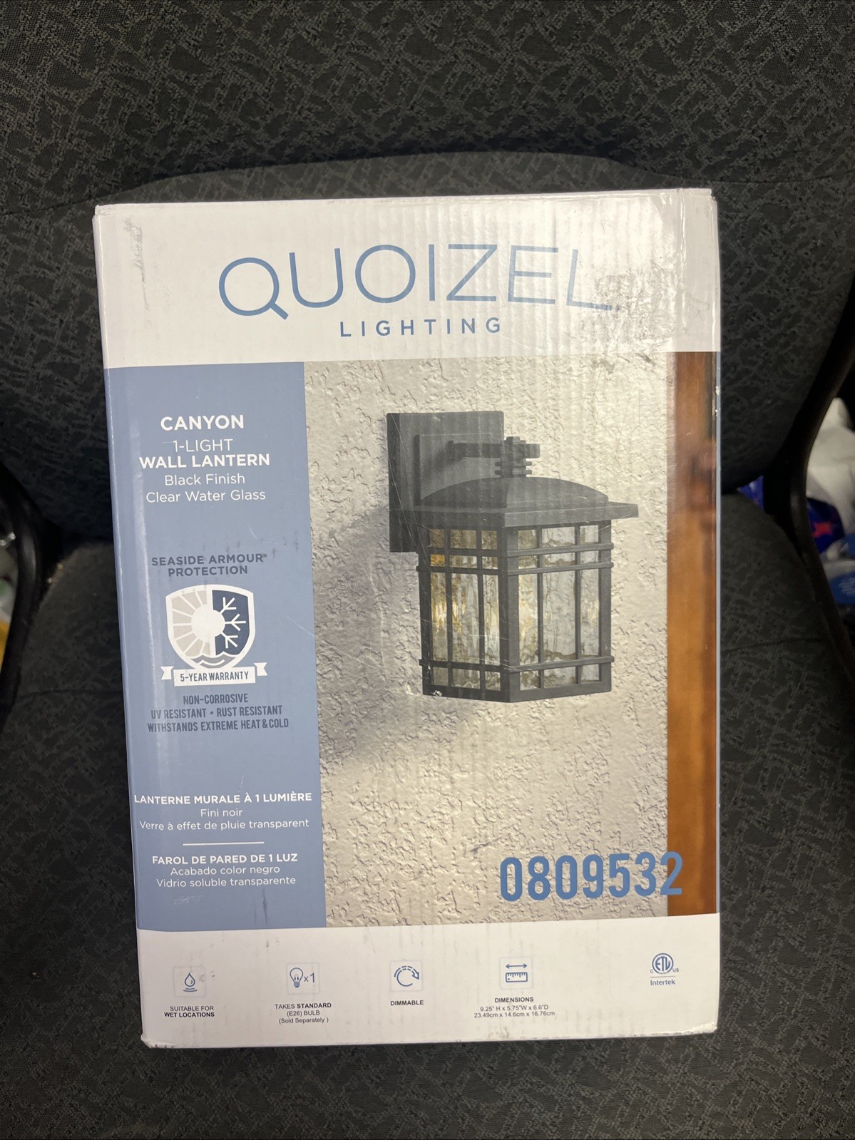 Quoizel Canyon 9.88-in Matte Black Outdoor Wall Light