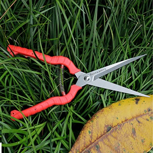 Extra Long Garden Scissor, Stainless Steel Pruning Shears, Bonsai Plant