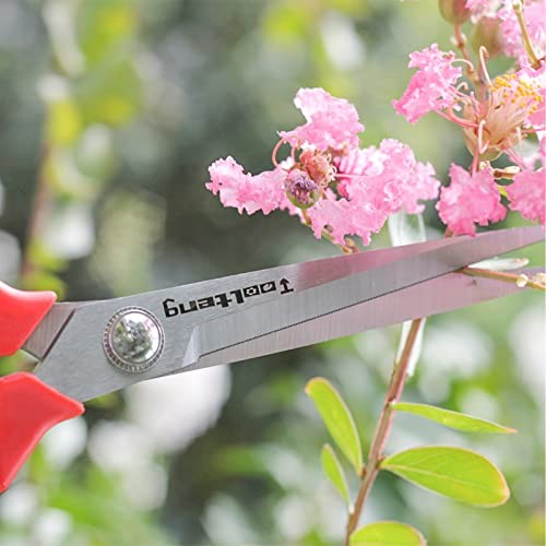 Extra Long Garden Scissor, Stainless Steel Pruning Shears, Bonsai Plant