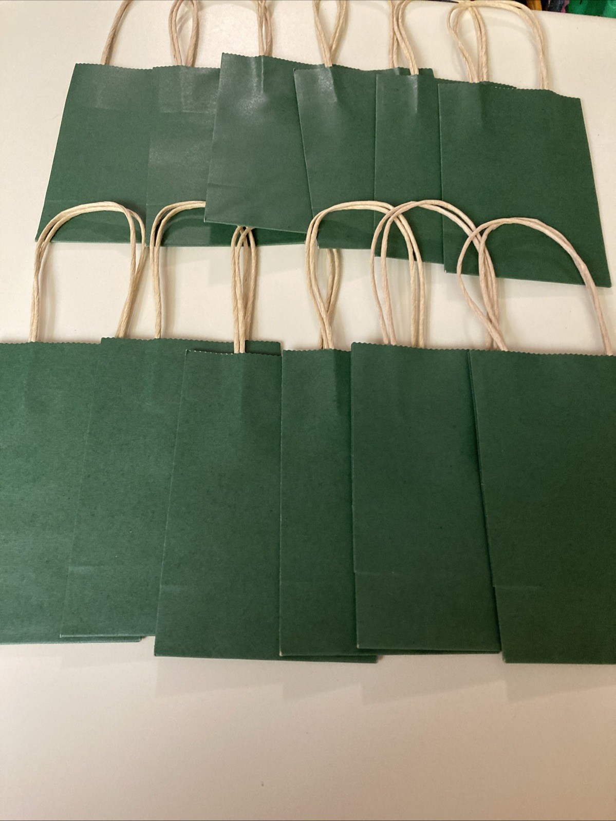 Set Of 12 Green Gift Bags With Jute Handles. New. Christmas Or Anytime Gifts.