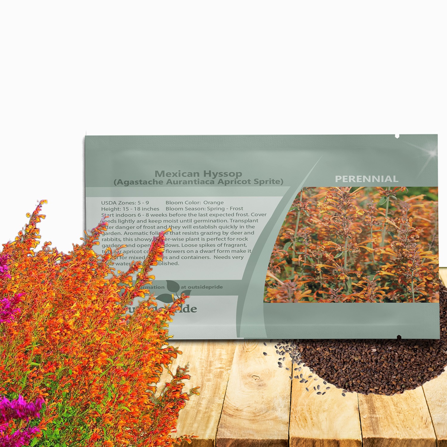 200 Seeds Agastache Apricot Sprite Flower Seeds For Hyssop Plants