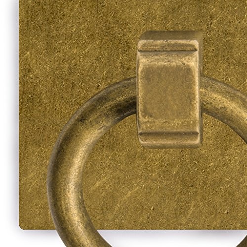 “Ring Plate Pulls 1.9 Inches – Set of 2 – Architectural, Interior Design,