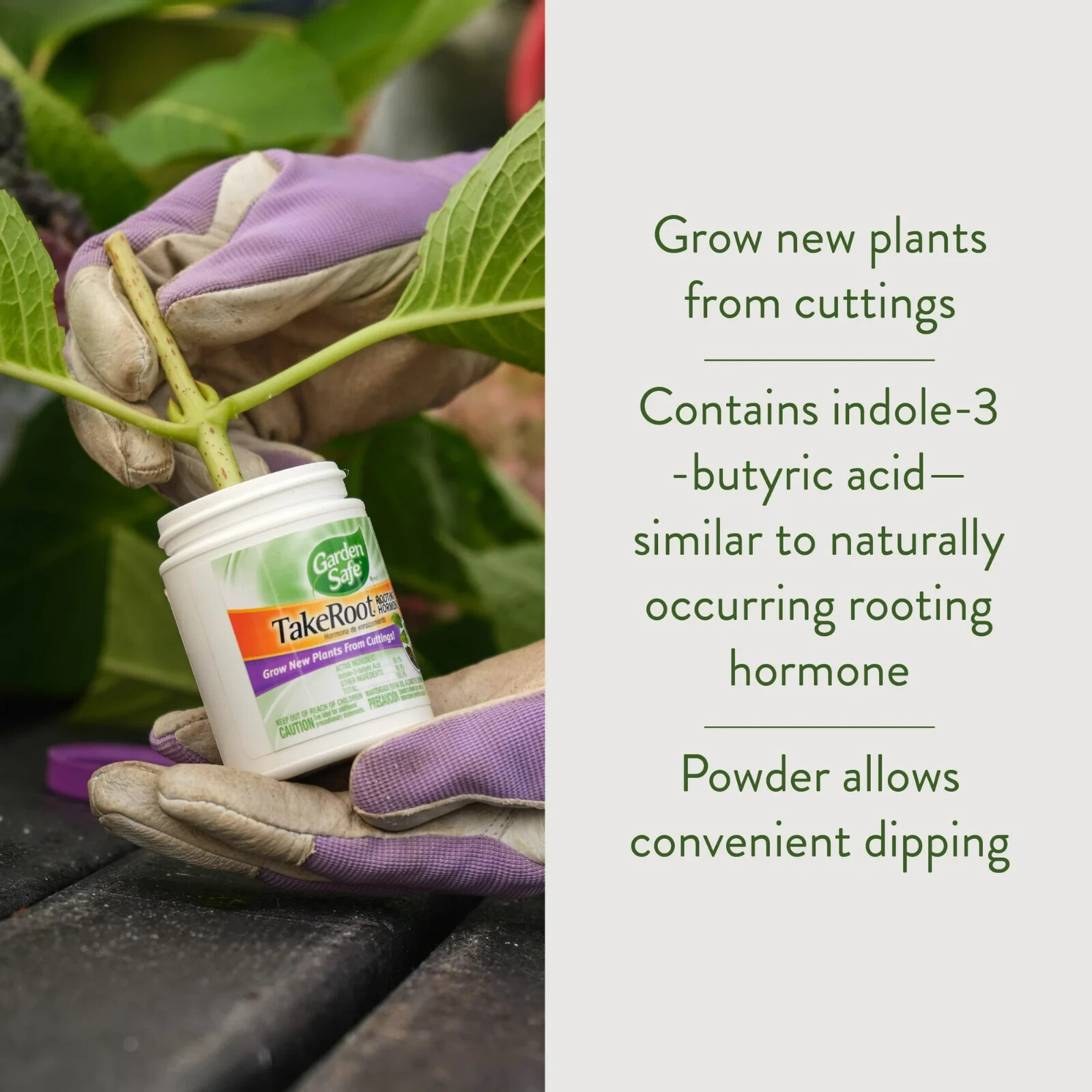 Garden Safe Take Root Rooting Hormone, 2-Ounce – Grow New Plants from Cuttings