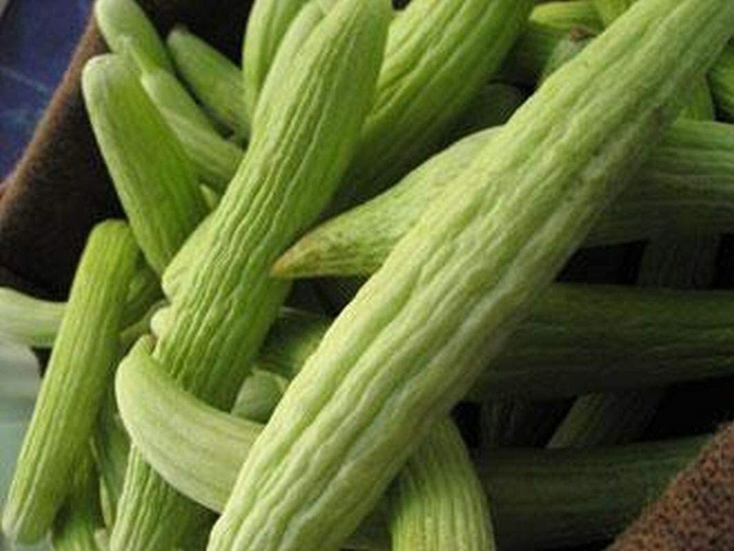 Armenian Cucumber Seeds, Metki Pale, White Serpent, NON-GMO, Burpless, FREE SHIP