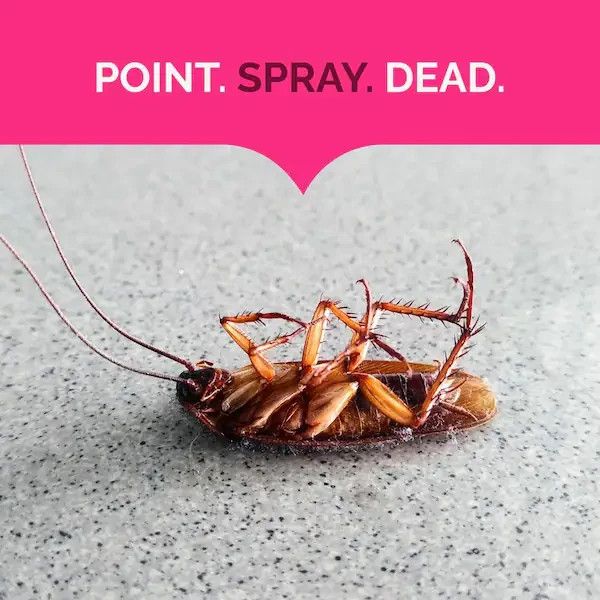 Hot Shot 20 oz Ant Roach & Spider Killer – Ready To Use Insect Spray