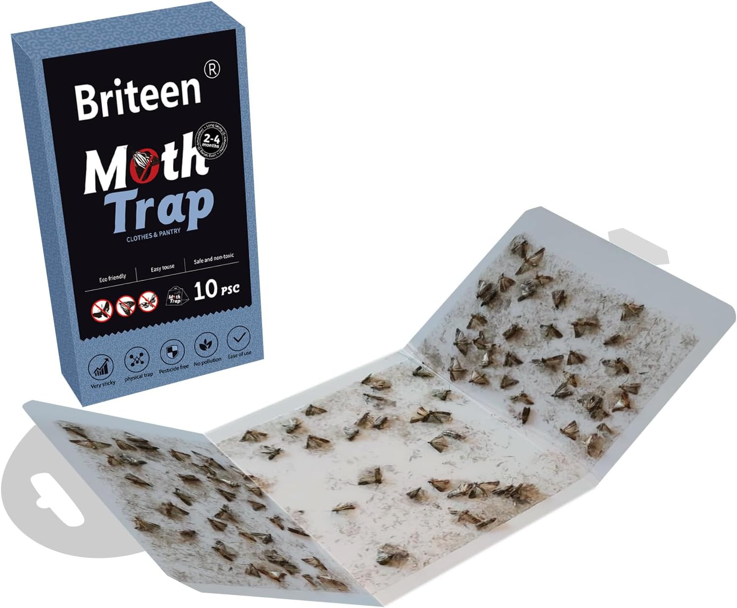 10 Pack Pantry Moth Traps Safe and Effective for Food and Clothing- Glue Traps