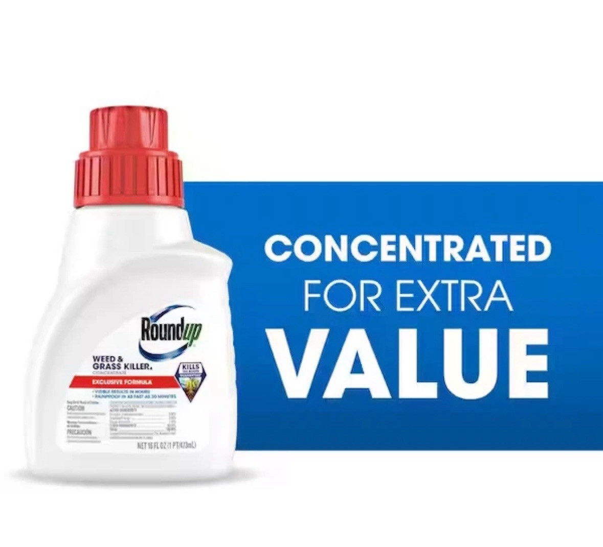Roundup Concentrate 16 Fl Oz