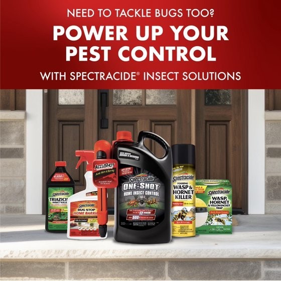 Spectracide Triazicide Insect Killer for Lawns Granules Kill Lawn-Damaging 10LB
