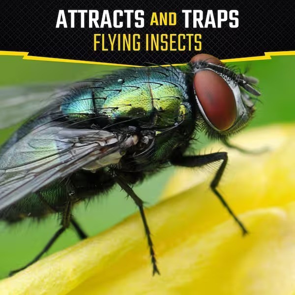 Fly Stick Insect Trap (2-Pack)