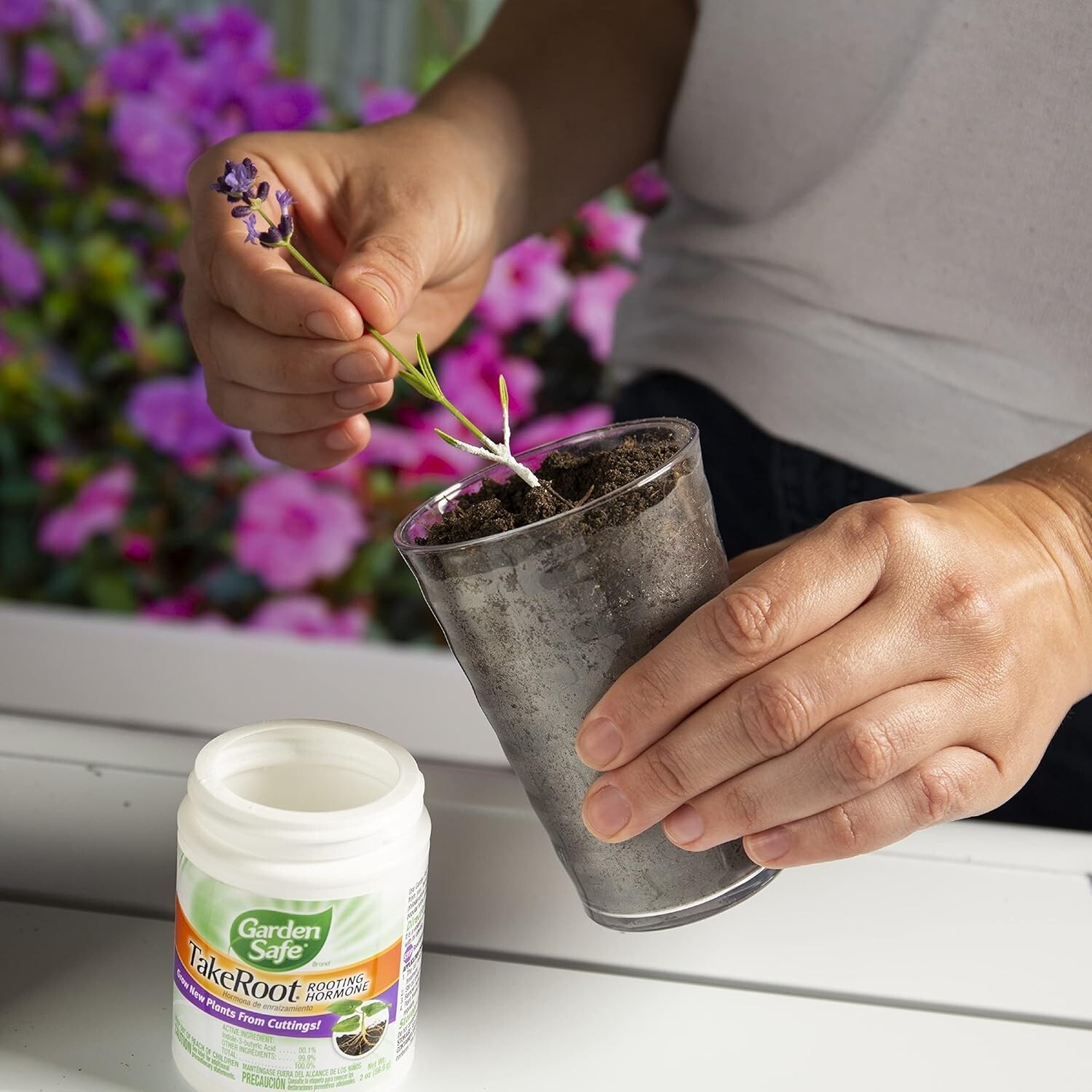 2 Pack Garden Safe Takeroot Rooting Hormone, New Plants Growth Powder – 2 Oz
