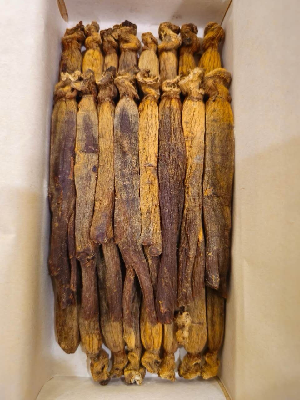 Korean 6 Year Red Ginseng Root Good Grade 40 Ji 300g ( 24Root ) 10% Top Grade