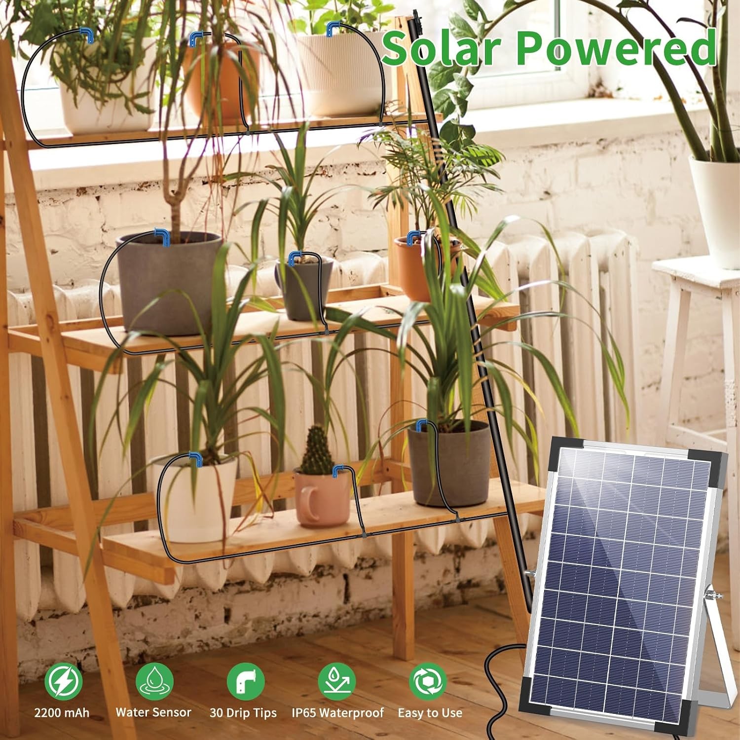 100/50ft Solar Irrigation System for Automatic Plants Watering, Drip Irrigation