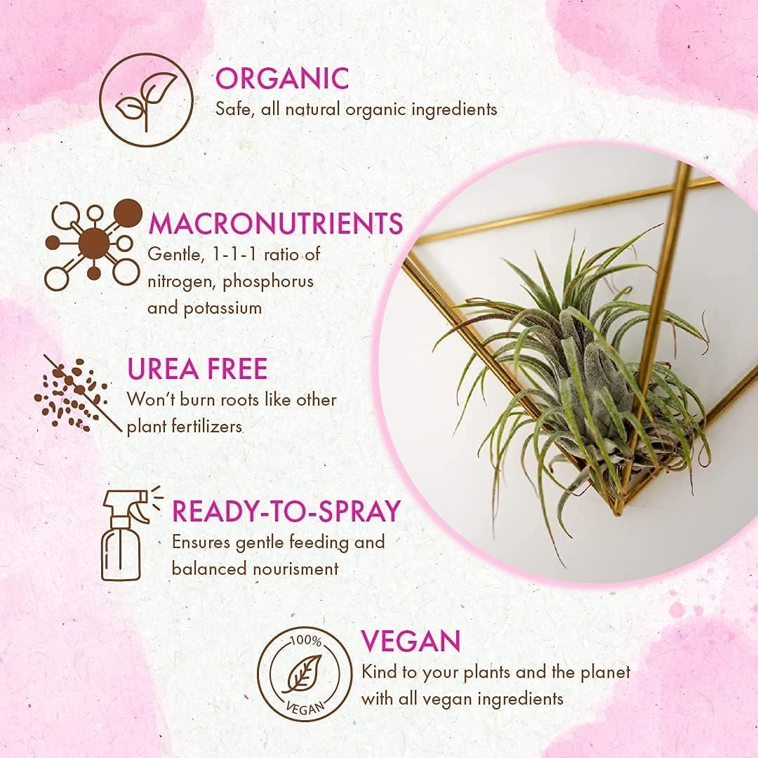 Organic Ready to Spray Air Plant Food Fertilizer Mist for Weekly Use Best for