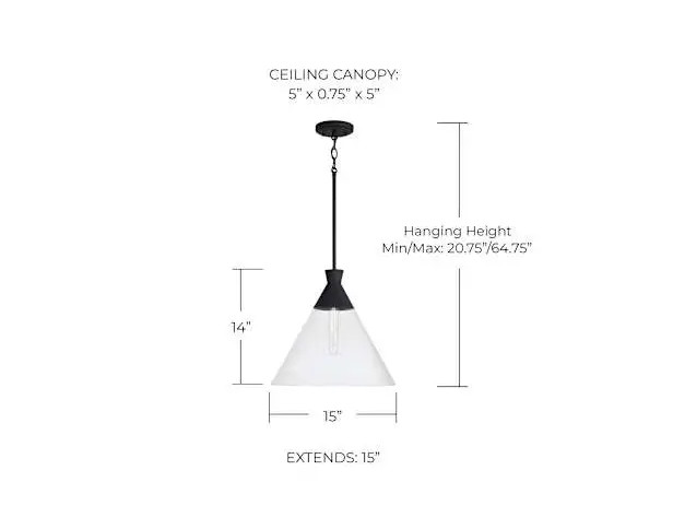 Capital Lighting Paloma Pendant Black Clear Glass 1‑Light Fixture 350311XK New