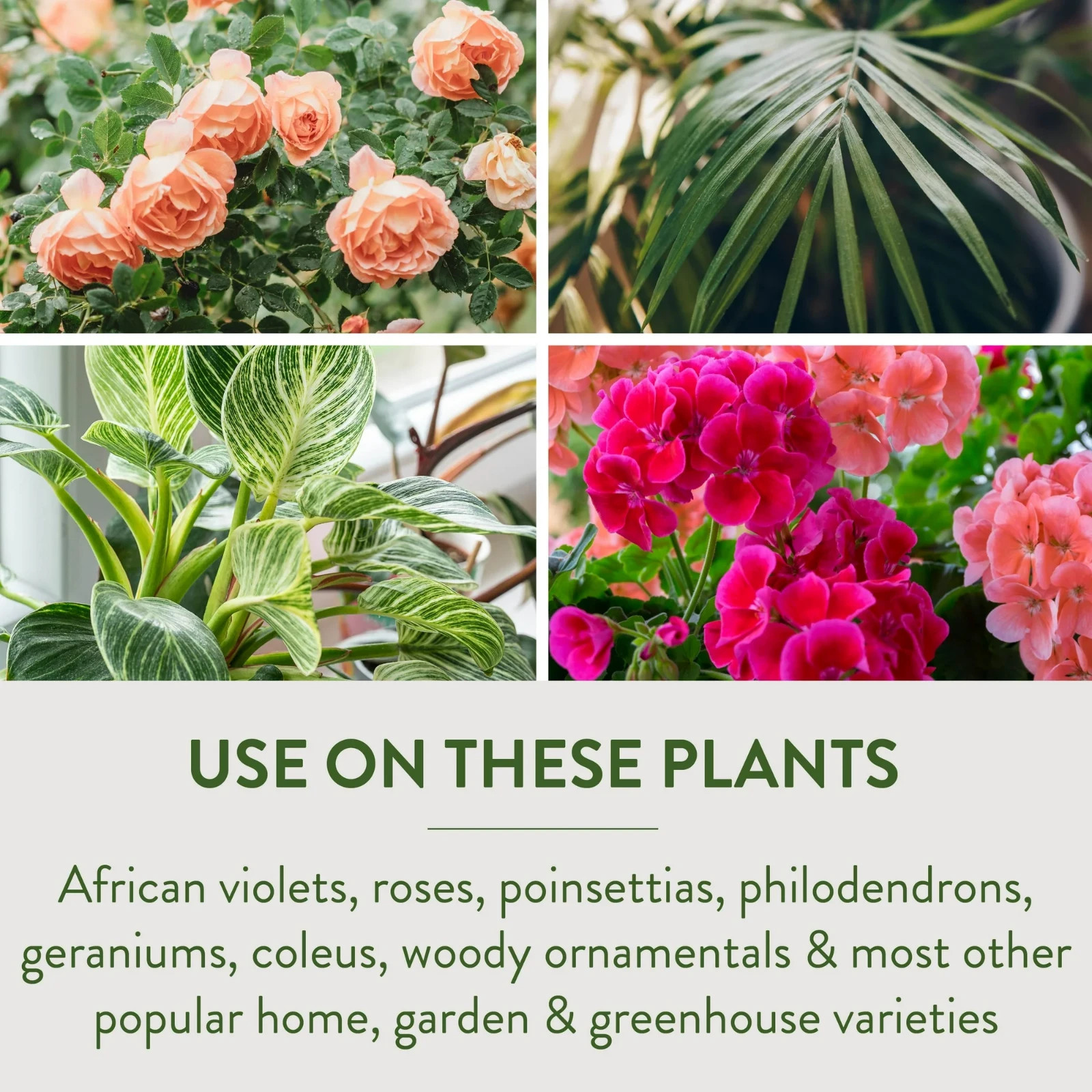 Garden Safe TAKE ROOT | ROOTING HORMONE Grow New Plants From Cuttings YARD TREES