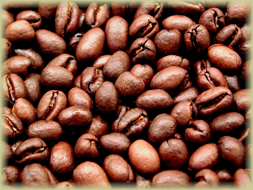 TANZANIAN KILIMANJARO COFFEE BEANS PEABERRY MEDIUM ROAST 2 POUNDS