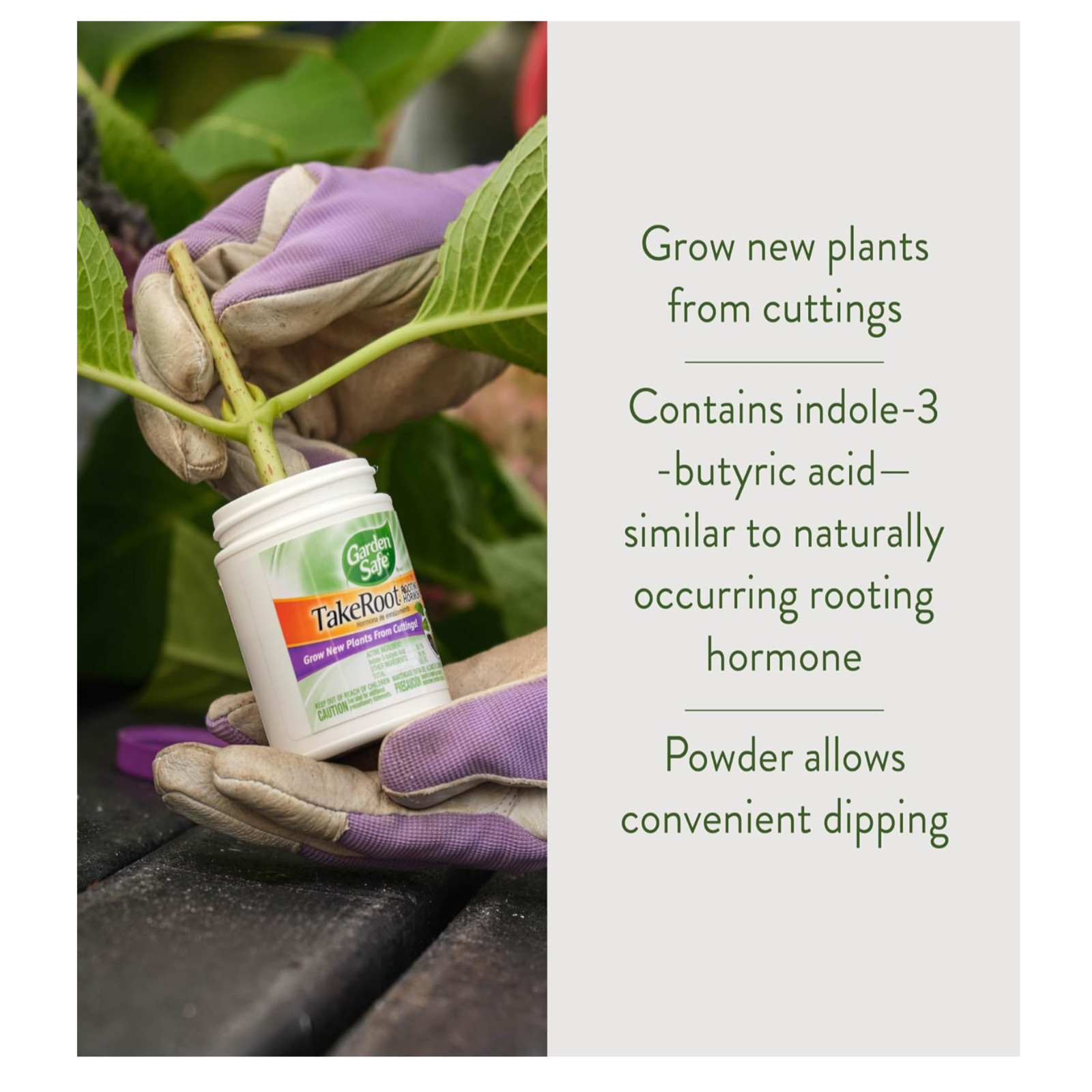 2 Pack Garden Safe Takeroot Rooting Hormone, New Plants Growth Powder – 2 Oz