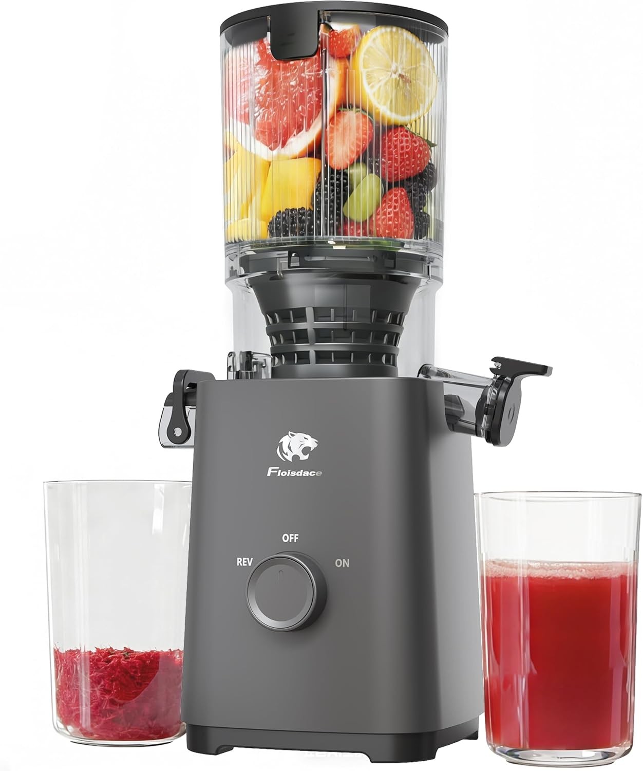 Floisdace Cold Press Juicer, 5.3″ Chute, Quiet, Easy Clean, High Yield
