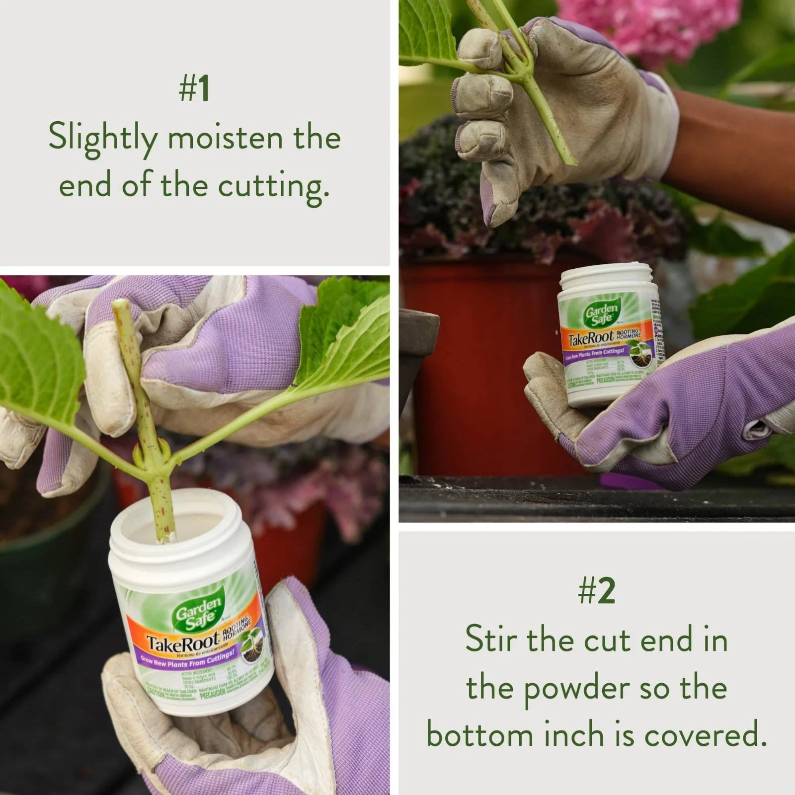 Garden Safe TAKE ROOT | ROOTING HORMONE Grow New Plants From Cuttings YARD TREES