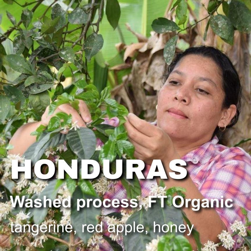 Honduras Fair Trade organic unroasted green coffee beans, Bird-Friendly, 4lbs