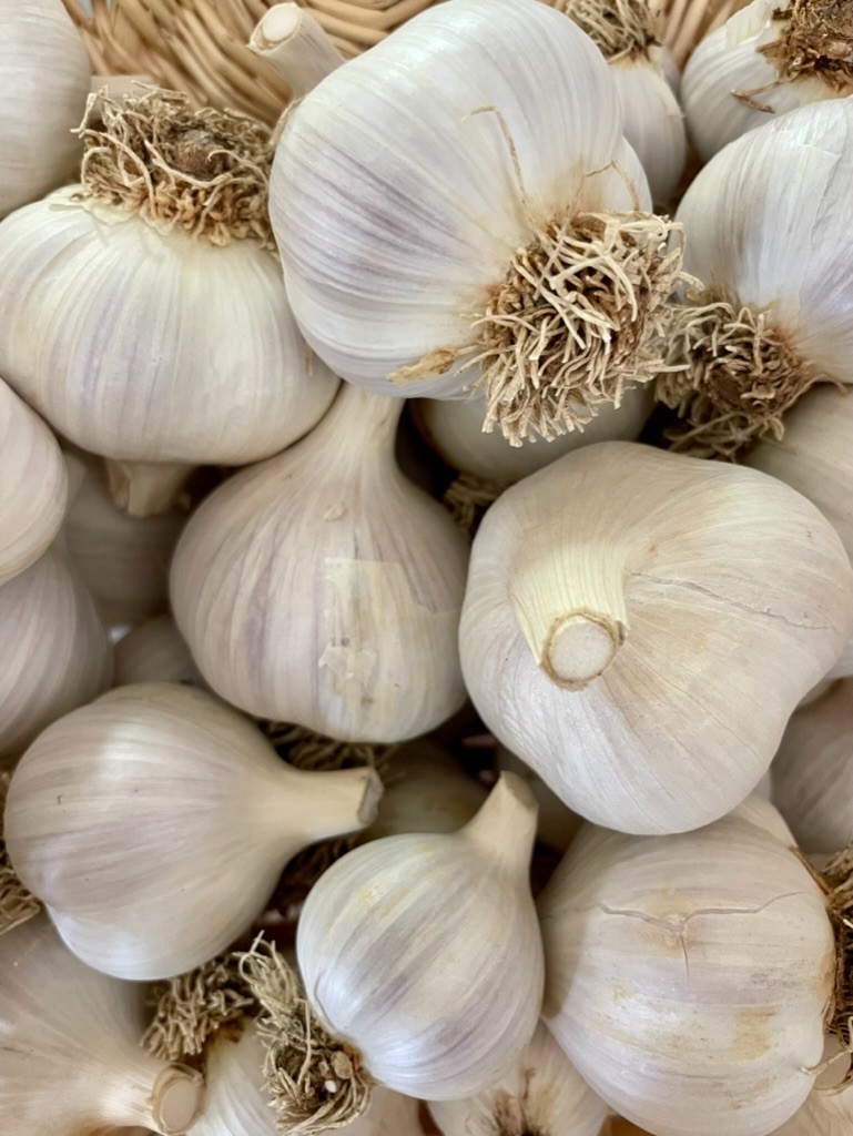 USDA Organic CA Early Garlic Bulbs | Mild Gourmet Garlic | California Grown